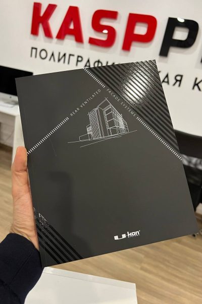 Выборочный лак